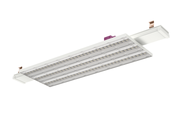 RIDI VL2MF-BRITT2-3...R...