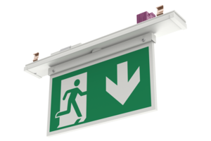 RIDI Escape sign module